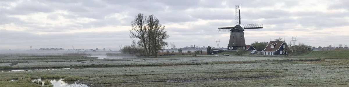Westzijderveld